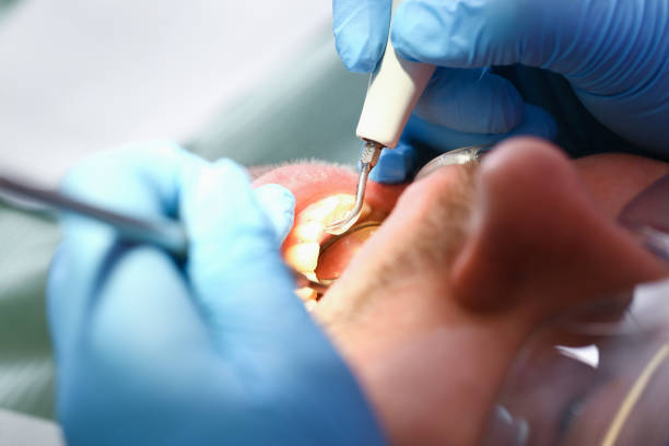 Best Mobile Emergency Dentist in Monroe, MI